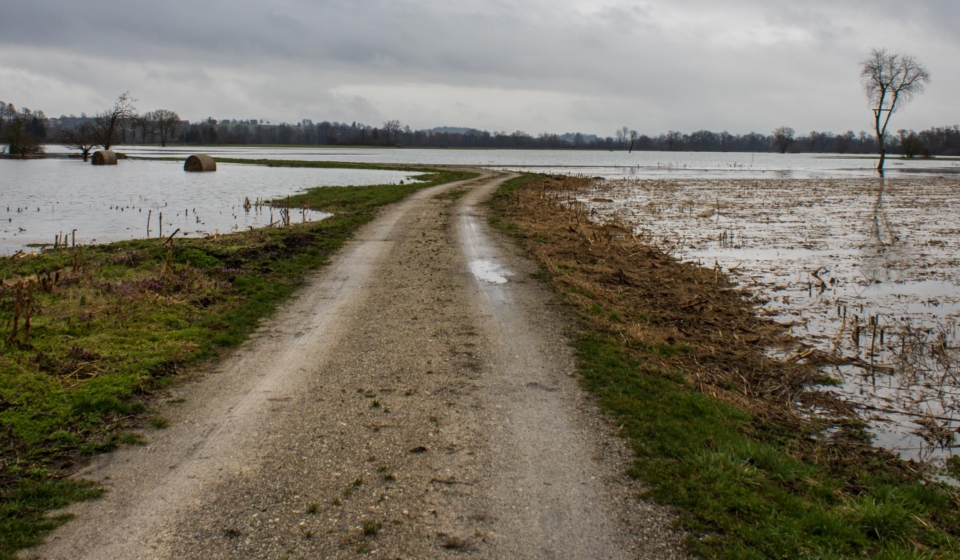 INGENIERO AGRONOMO_INGRATEC_Daños por temporal2